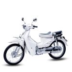 image (5)